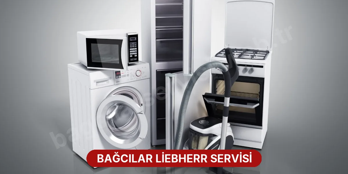Bağcılar Liebherr Servisi